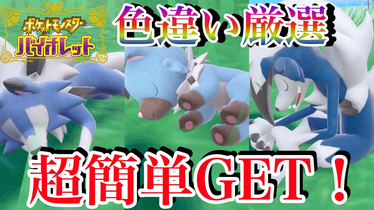 【ポケモンSV】画面固定！超簡単にイワンコの色違い大量GET！