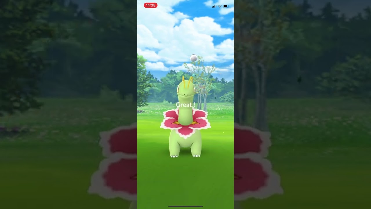 [ポケモンGO]野生のメガニウム　捕獲　#ポケモンGO #ポケモン