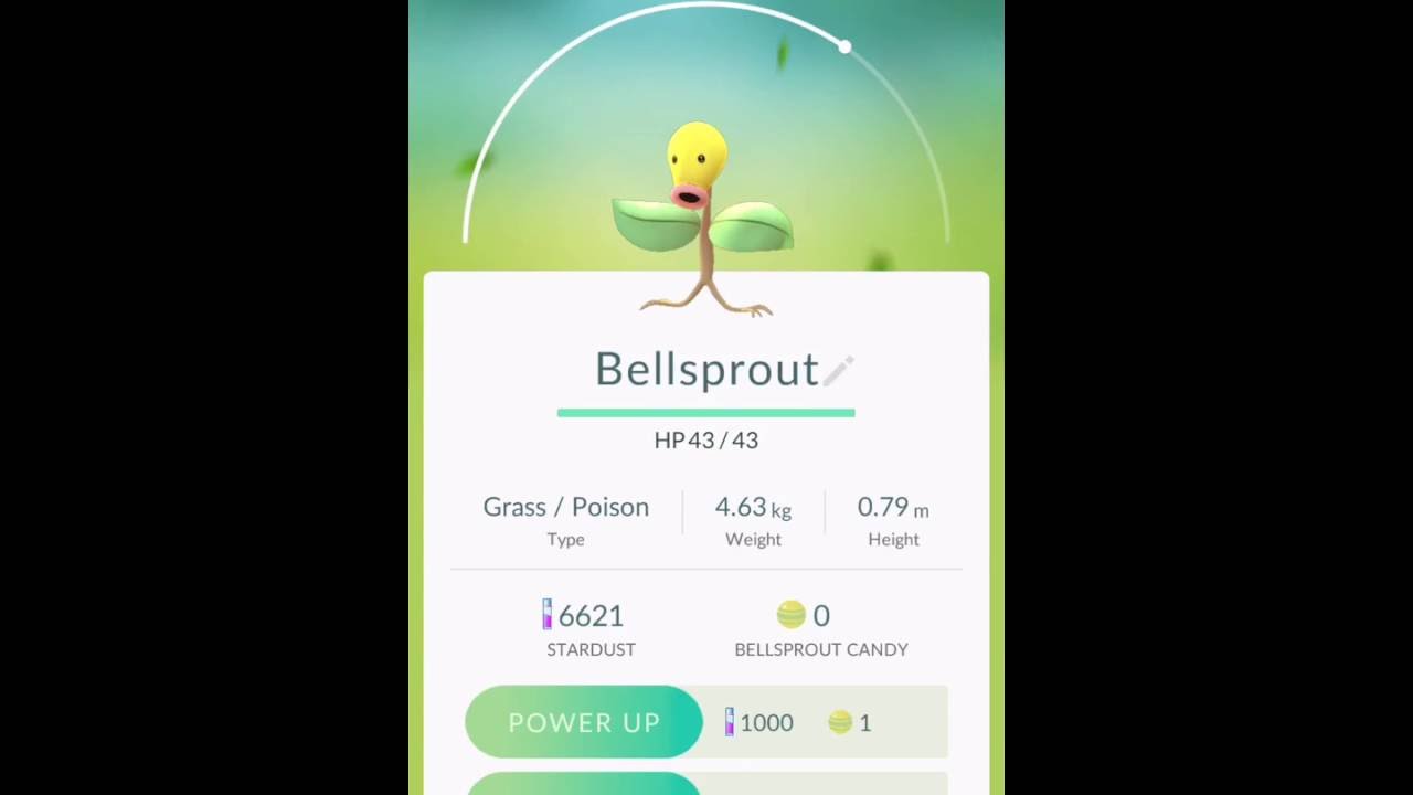 【ポケモン Go】マダツボミを進化させてみた