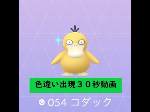 【Pokémon GO】 Rarity ”D”＃054 コダック ☆shiny☆#Shorts