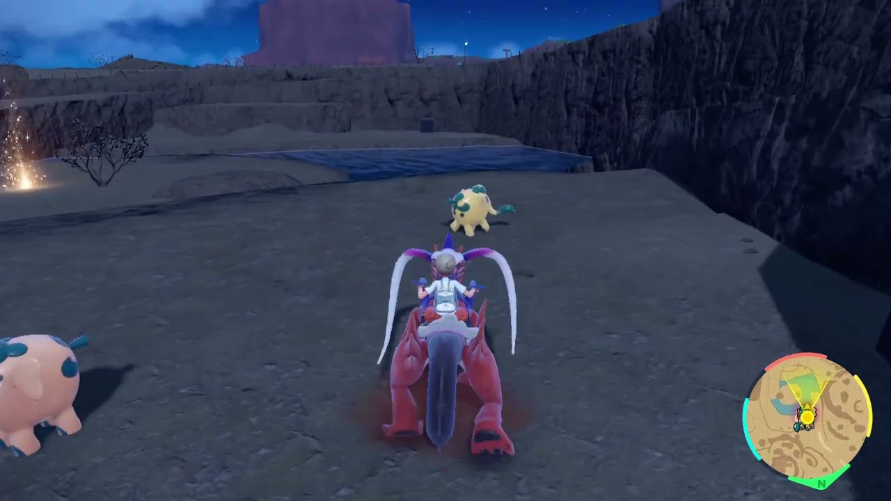 ゾウドウ　色違い