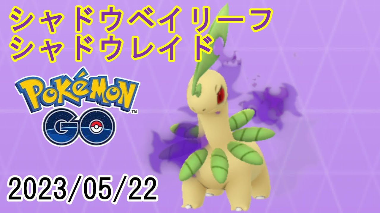 ポケモンGOシャドウベイリーフシャドウレイド2023/05/22