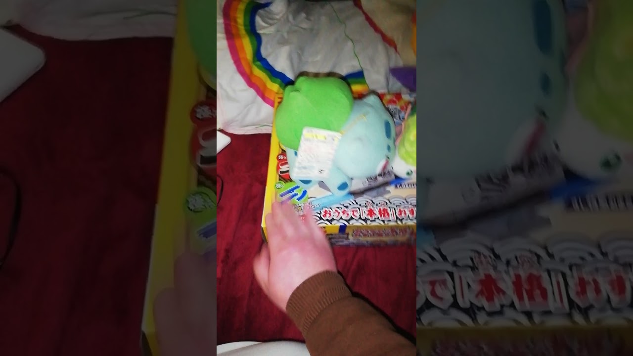 フシギダネのぬいぐるみとシェイミのぬいぐるみでトントン相撲をやってみた。