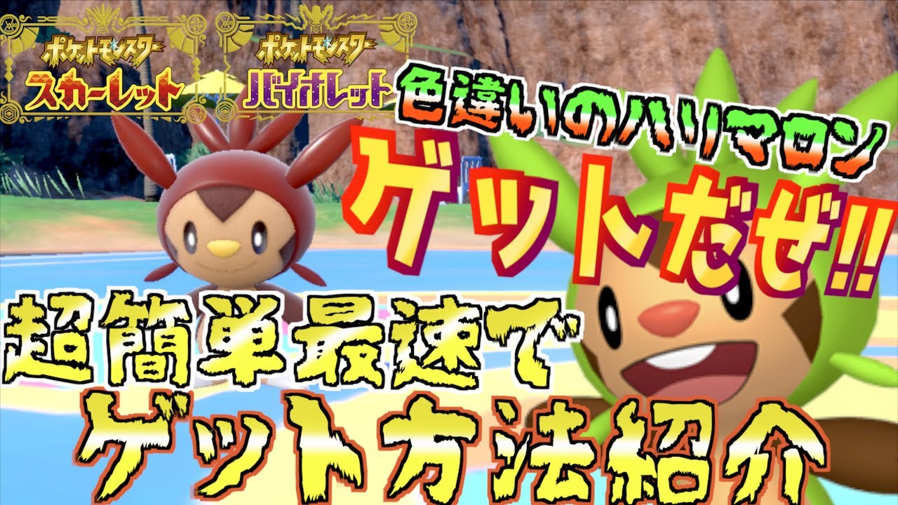 色違いのハリマロンをタマゴから最速でゲット方法教えます 色違いハリマロンから色違いブリガロンまでゲットしてみました！【最強のブリガロン】【 ポケモンSV 】