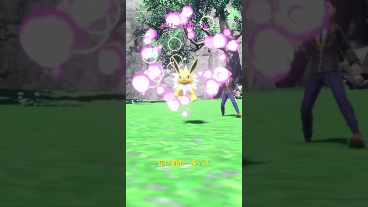 サンダースはこのボール #shorts #ポケモン #ポケモンsv