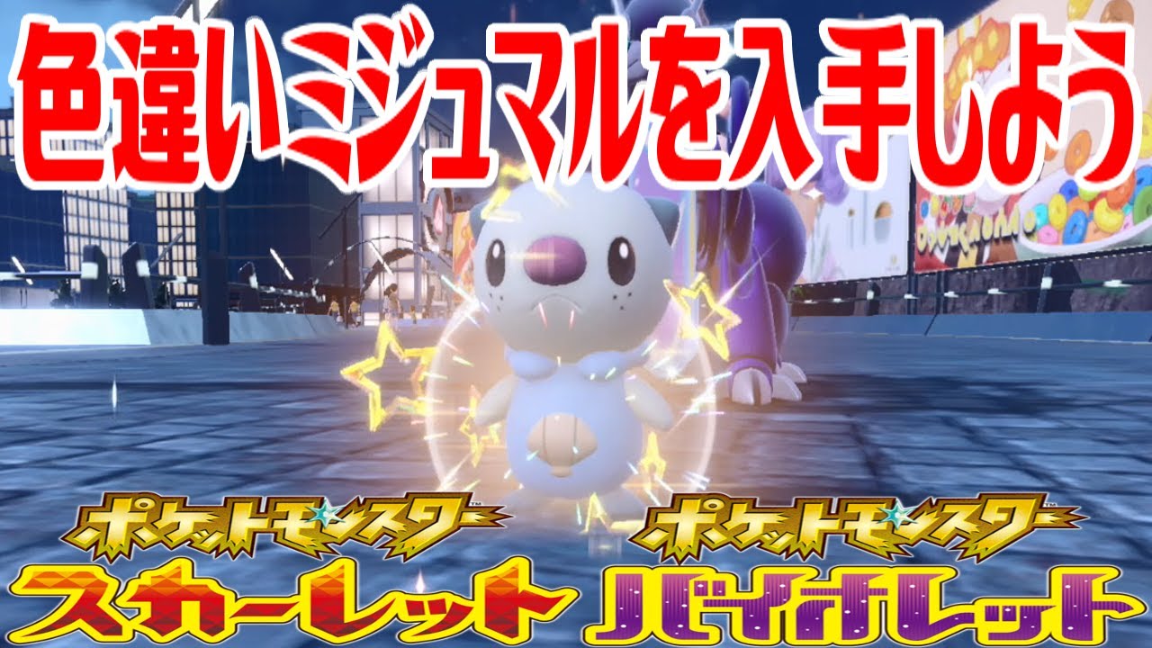 【ポケモンSV】色違いミジュマルを入手しよう タマゴふか(タマゴ孵化)【ポケットモンスター スカーレット・バイオレット】Pocket Monsters