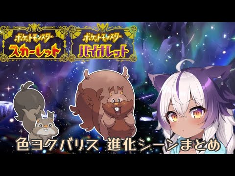 【ポケモンSV】色違いホシガリス → ヨクバリス【ポケットモンスタースカーレットヴァイオレット】