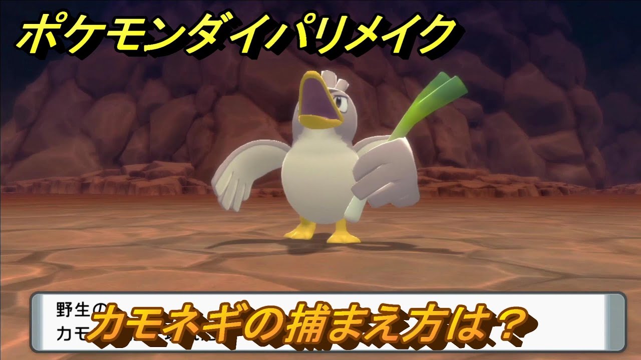ポケモンダイパリメイク　カモネギの捕まえ方は？出現場所は？　最新版【ブリリアントダイヤモンド・シャイニングパール】