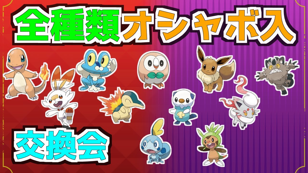 全種オシャボ入り　ハリマロン　メッソン　ヒノアラシ　ミジュマル　モクロー　ヒトカゲ　ヒバニー　ケロマツ　ヒスイゾロア　イーブイ　ガラルニャース　配布会　【ポケモンSV】
