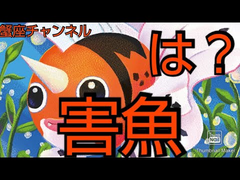 【ポケカ】「アズマオウ」って害魚知ってる？視聴者から送られたデッキと対戦！【対戦動画】