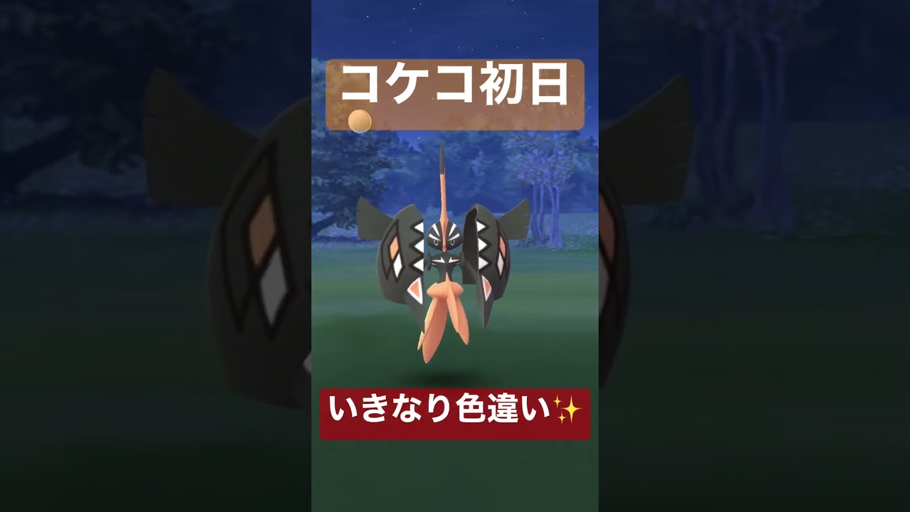 【色違い】実装初日で早速色違い！！！✨ #ポケモンgo #pokemongo #カプコケコ #色違い
