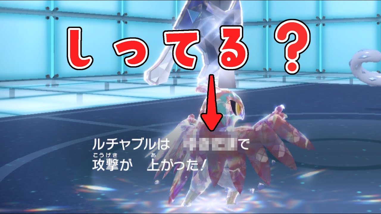 【みんなは知ってる？】謎の持ち物持たせたルチャブルでパオジアンをカモにできますwww【ポケモンSV】