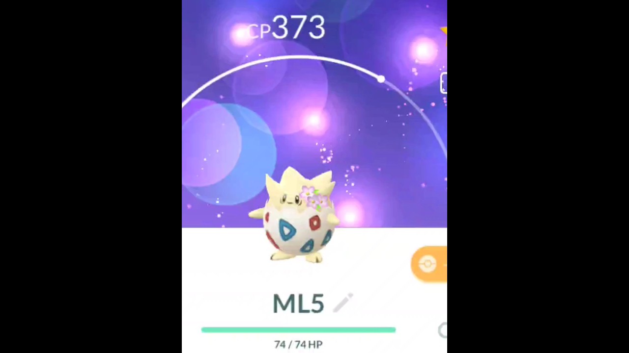 トゲチックコミュニティディ #ポケモンgo #花飾り#コミュニティディ #僕達は天使だった