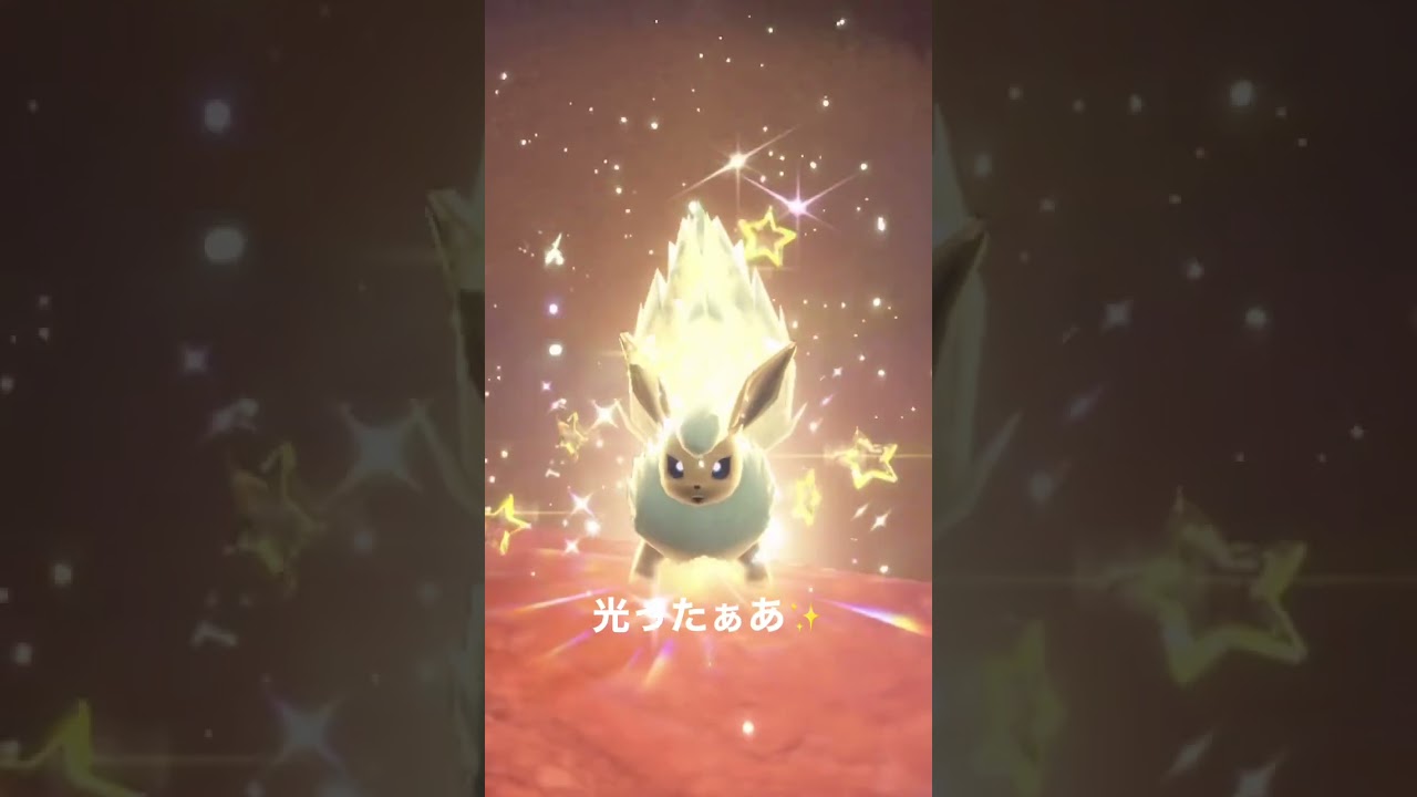 色違いブースター✨