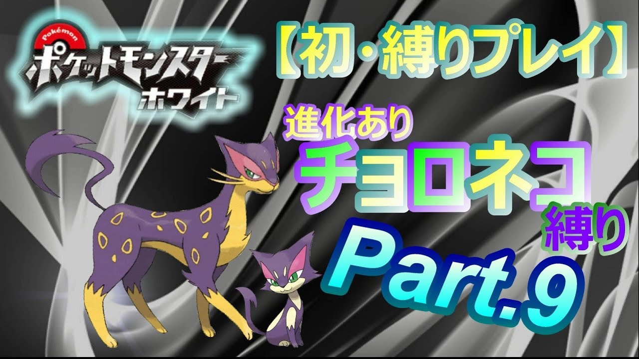 #9【初・縛りプレイ】レパルダス一匹最終決戦【ポケットモンスターホワイト.pokemon.BW】実況プレイ