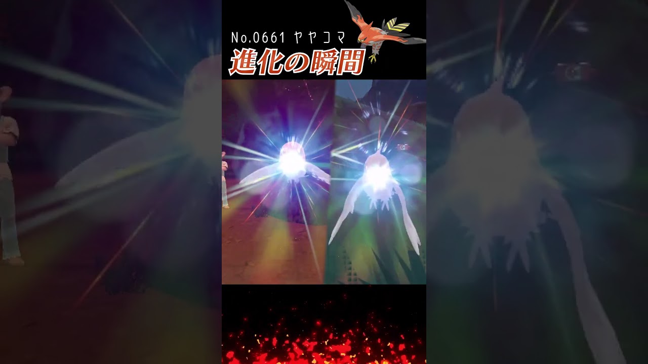 【スカーレット】ヤヤコマ 進化の瞬間 #shorts