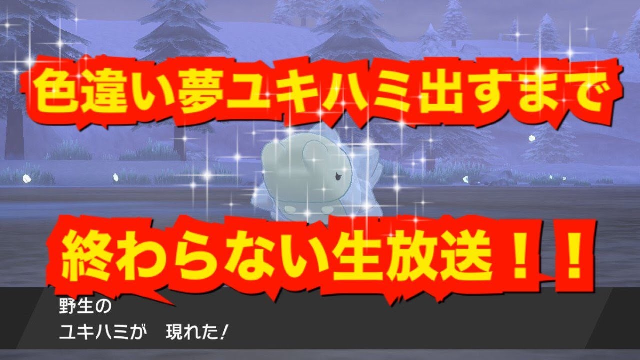 【ポケモン剣盾】地獄の厳選‼色違い夢ユキハミを孵化するまで終われません⁉ #2