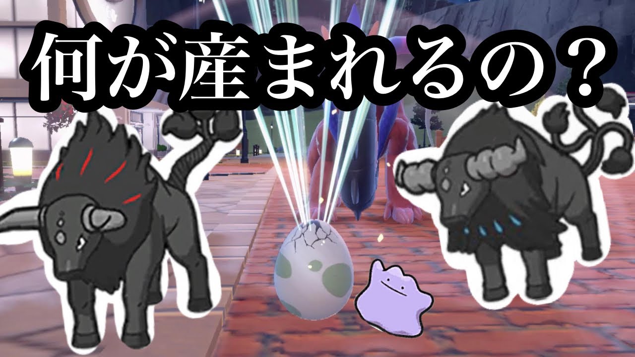 パルデアケンタロス炎•水のタマゴから何が産まれるのか検証【ポケモンSV】ポケットモンスタースカーレットバイオレット攻略