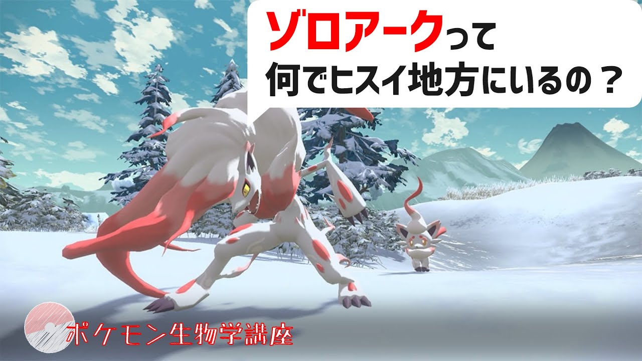ゾロアークって何でヒスイ地方にいるの？｜ポケモン剣盾、ポケモンレジェンズアルセウス #Shorts