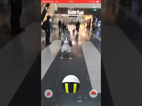 ポケモンGO 羽田空港  グラエナ