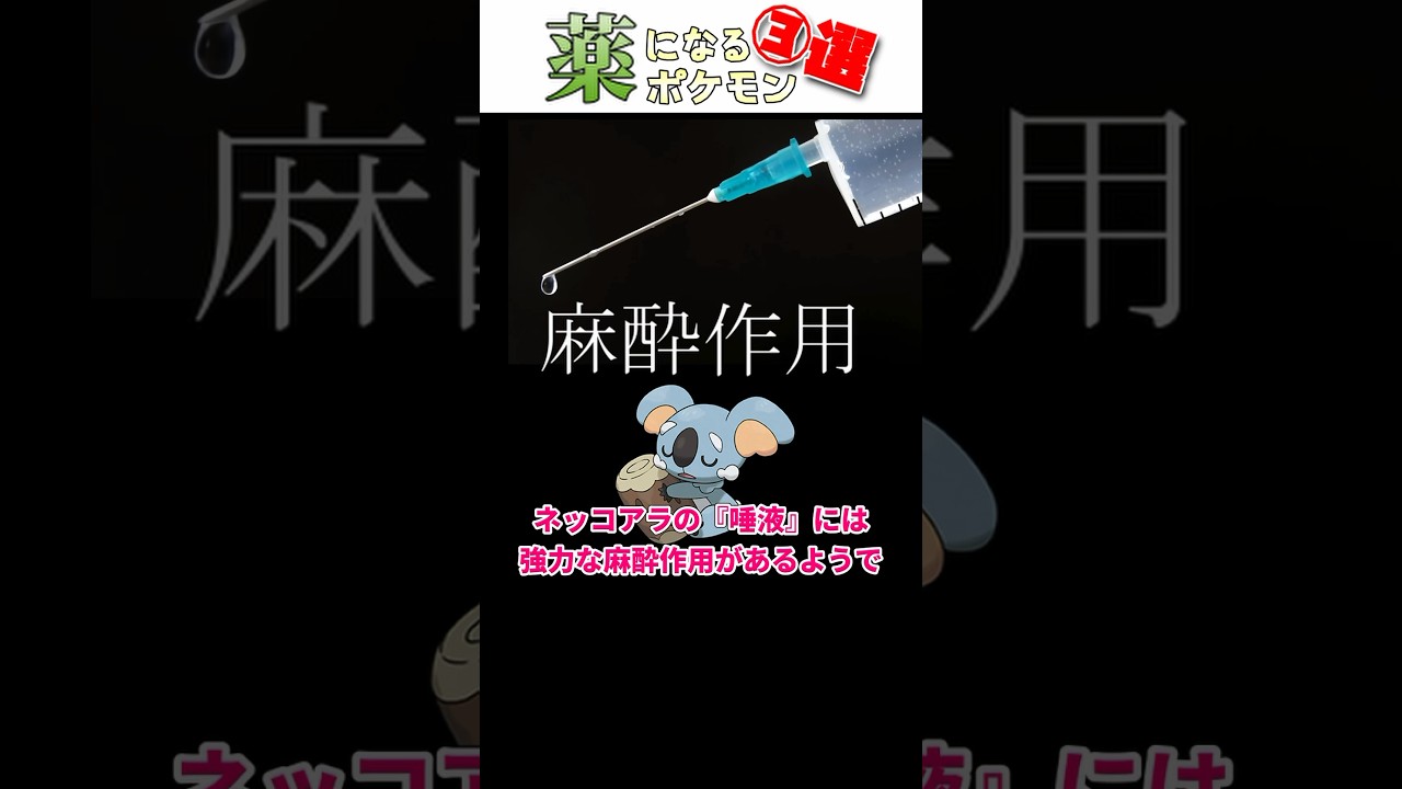 麻酔になる!?クスリになるポケモン３選！#ポケモン解剖学 #ポケモンSV #ポケモン #shorts  #ネッコアラ #pokemon #小ネタ #薬
