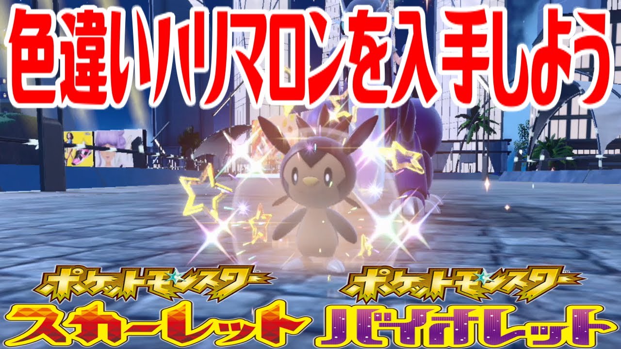 【ポケモンSV】色違いハリマロンを入手しよう タマゴふか(タマゴ孵化)【ポケットモンスター スカーレット・バイオレット】Pocket Monsters
