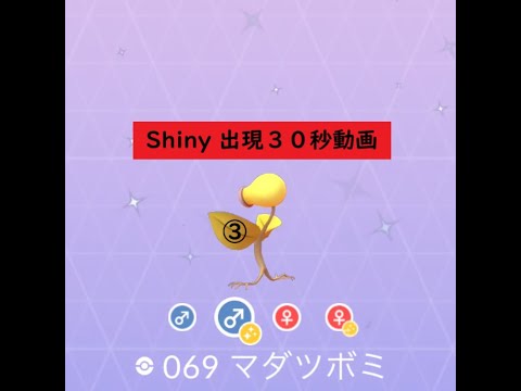 【ポケモンGO】色違い 出現30秒動画 ＃069 マダツボミ③ ☆shiny☆#Shorts
