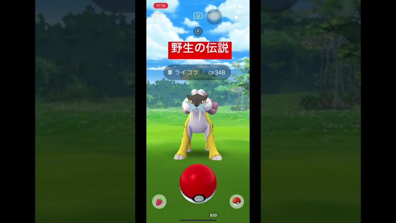 【ポケモンGO】野生のライコウに逃げられた