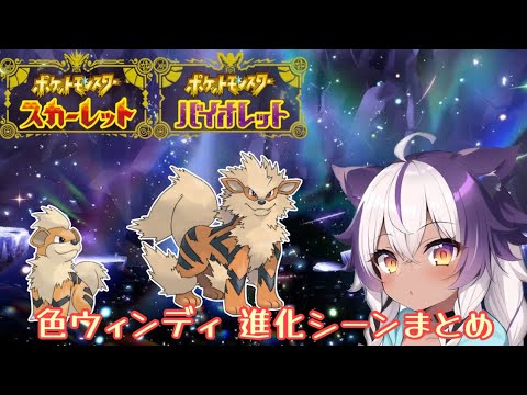 【ポケモンSV】色違いガーディ → ウィンディ【ポケットモンスタースカーレットヴァイオレット】
