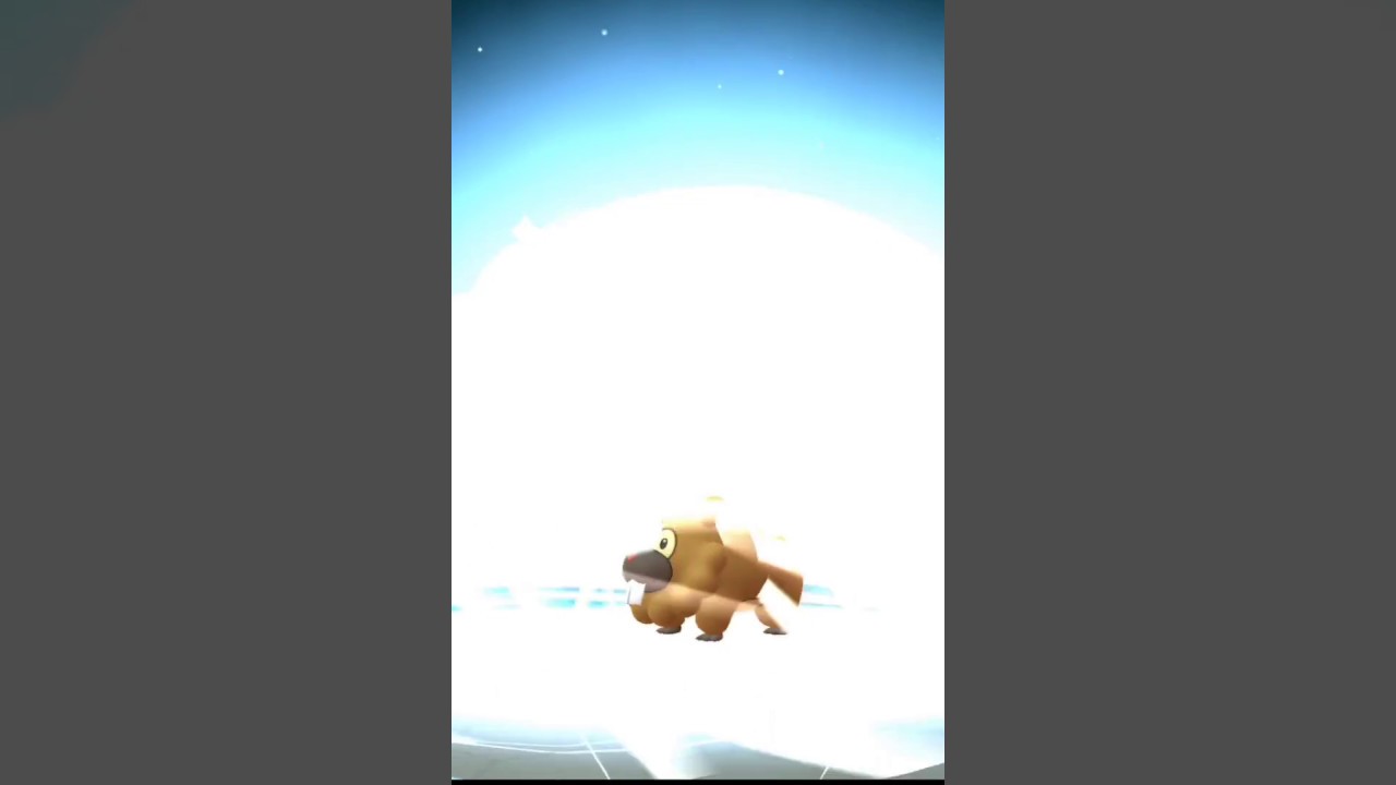 【ポケモンGO】ビッパ → ビーダル 進化！！