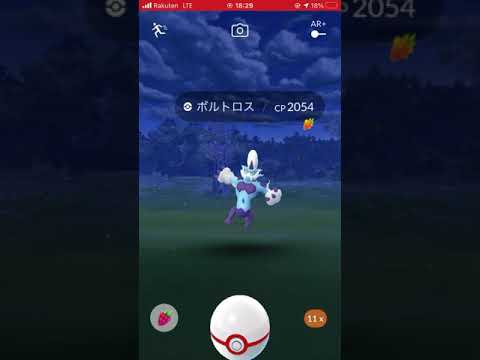 【ポケGO】エクセレントで捕獲【霊獣ボルトロス】