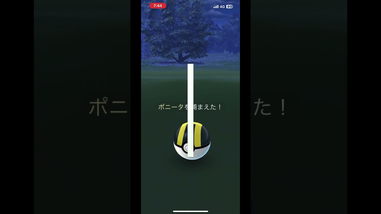 【激レア】色違いキャンデラポニータが出てきた！！ポケモンGO