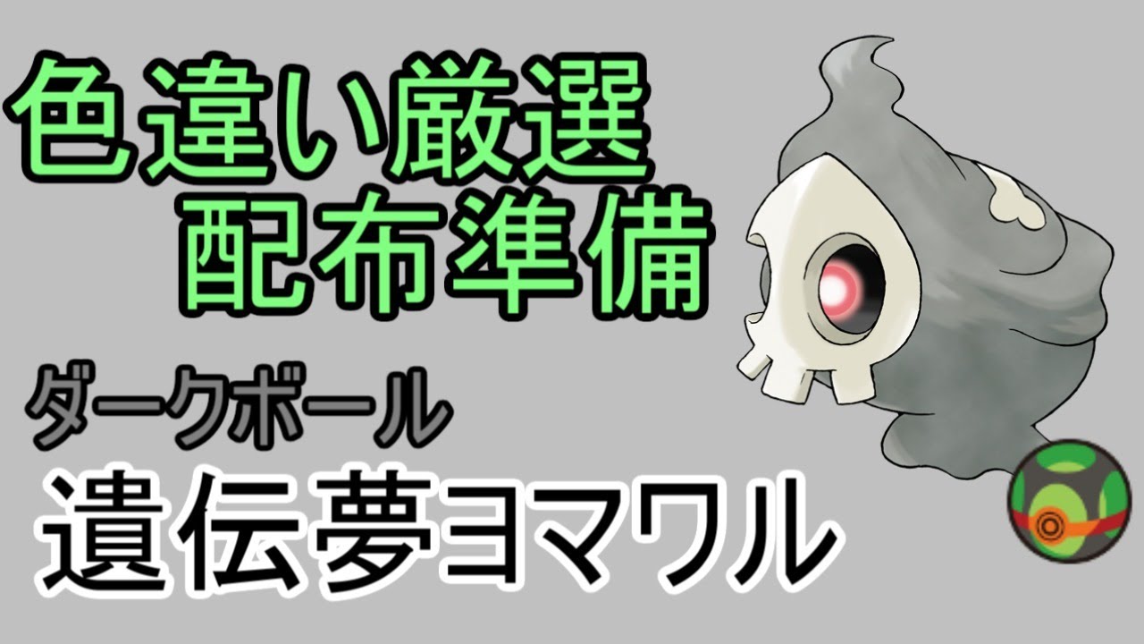 【ポケモン剣盾】ダクボ遺伝夢ヨマワル　色違い厳選（配布準備）　【ライブ配信】