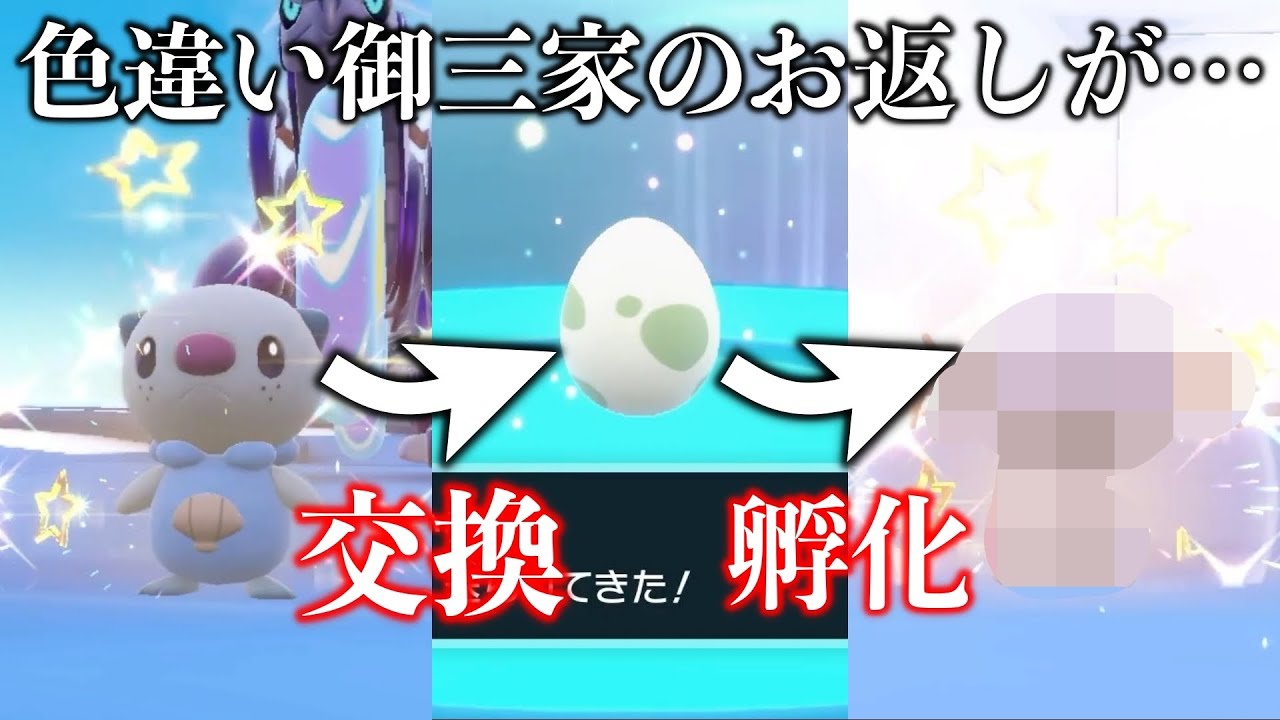 ミジュマルの色違いを配布したお返しのタマゴの中身がエグすぎたww【ポケモンSV/スカバイ】