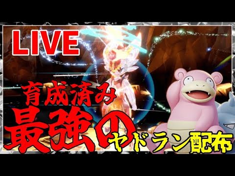 育成済みヤドラン　ポケモン配布