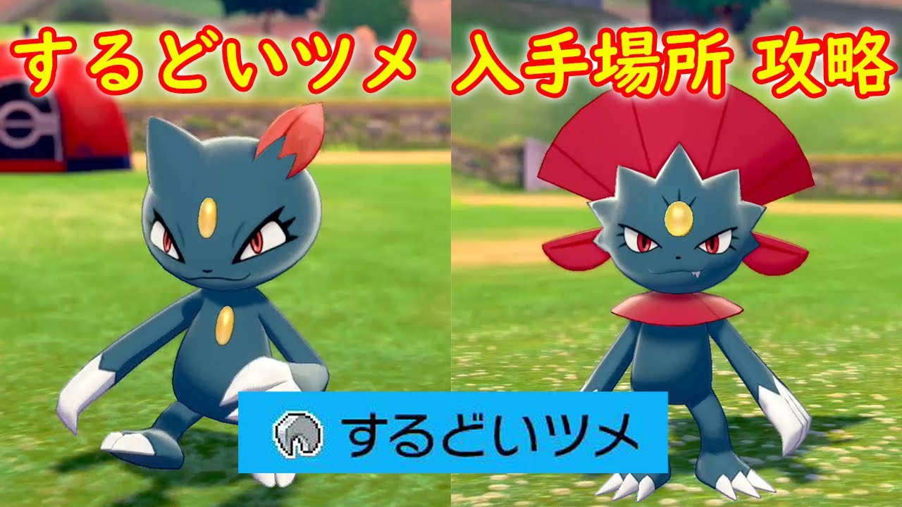 【するどいツメ】入手場所 攻略【ポケモン ソード シールド ポケモン剣盾】