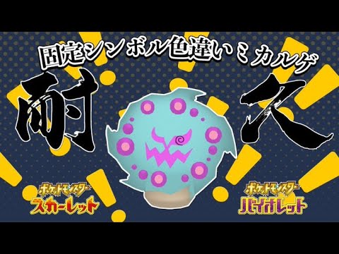 【 4100匹～】マスボ色違いミカルゲ２４時間耐久配信！（厳選48時間突破）【ポケモンSV】