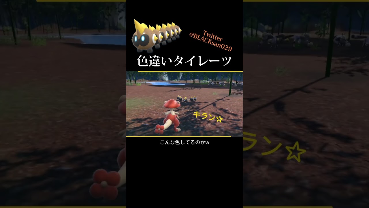 【ポケモンSV】色違いタイレーツを求めて #ポケモンsv #ポケットモンスター #色違い #色違い厳選 #タイレーツ #ポケモンSV #shorts
