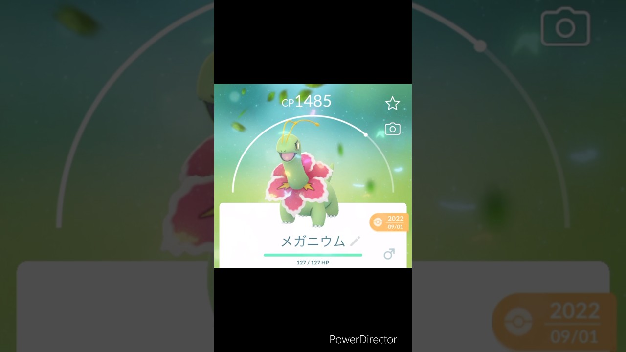 【ポケモンGO】ポケモン研究所 弟者さんの声でメガニウム紹介編🎮 #ポケモンgo #こえまね#youtubeshorts
