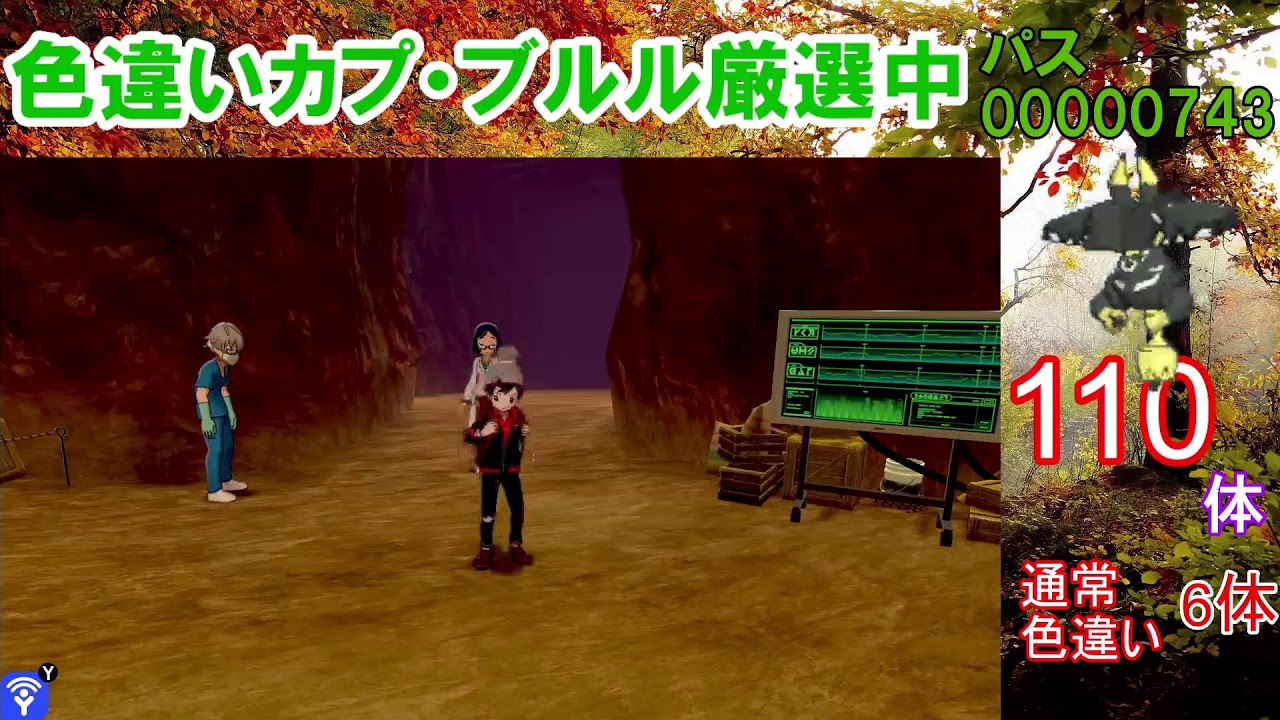 【ポケモン剣盾】カプ・ブルル色違い以外の色違いが出たら即配布！カプ・ブルル色厳選【ダイマックスアドベンチャー】