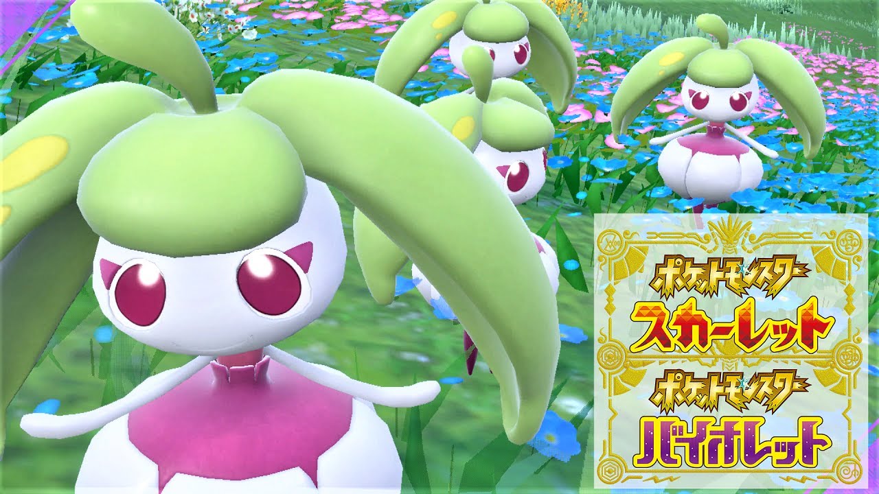【可愛い】アママイコ６匹に囲まれて癒されピクニック【ポケモンSV】