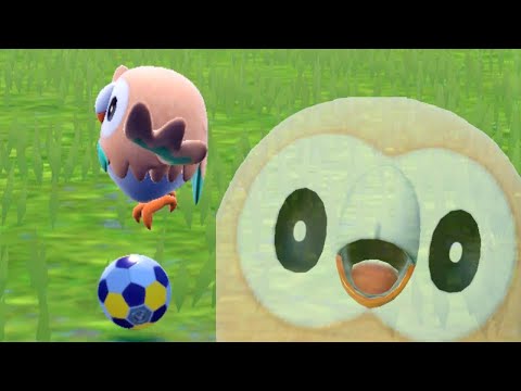 【バグ？】モクローちゃん、ボールを見つけられない【ポケモンSV】