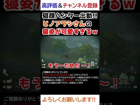 ヒノアラシさんの「寝姿」が可愛すぎるww【Pokémon LEGENDS アルセウス】【寝顔ハンター】