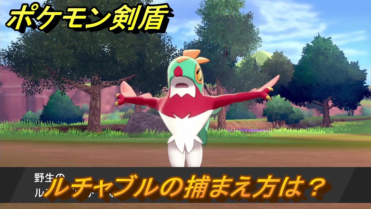 ポケモン剣盾　ルチャブルの出現場所は？オススメの場所は？天気は？ポケモン図鑑コンプへの道！　最新版【ポケモンソード・シールド】