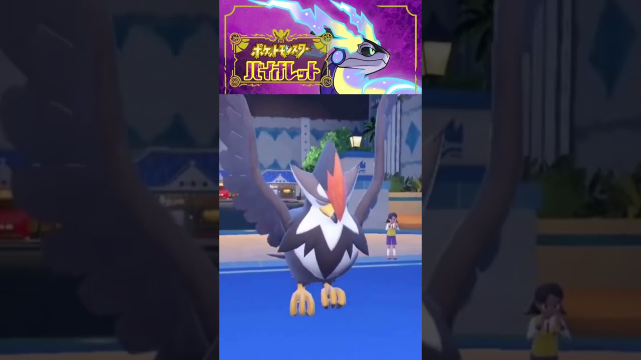 【ポケモンSV】ムクホークさんは言うことを聞かない