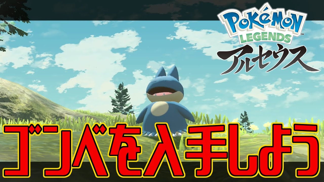 【ポケモンアルセウス】ゴンベを入手しよう【Pokémon LEGENDS アルセウス】