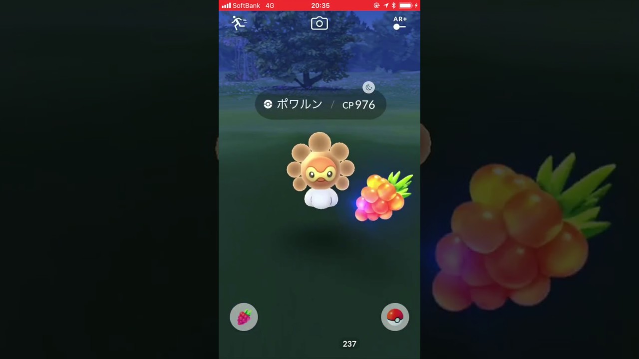 【2018/2/12】個体値100晴れポワルン初ゲット