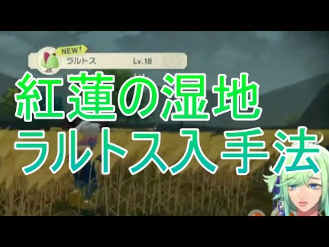 アルセウスでのラルトス入手法！【ダイジェスト】