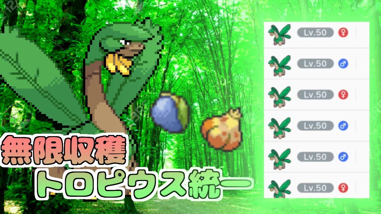 【SV種族統一】高耐久無限トロピウス統一！今日は何の実だ！？