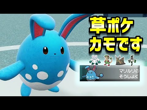 草技無効のマリルリが環境に刺さりそう⁉【ポケモンSV】